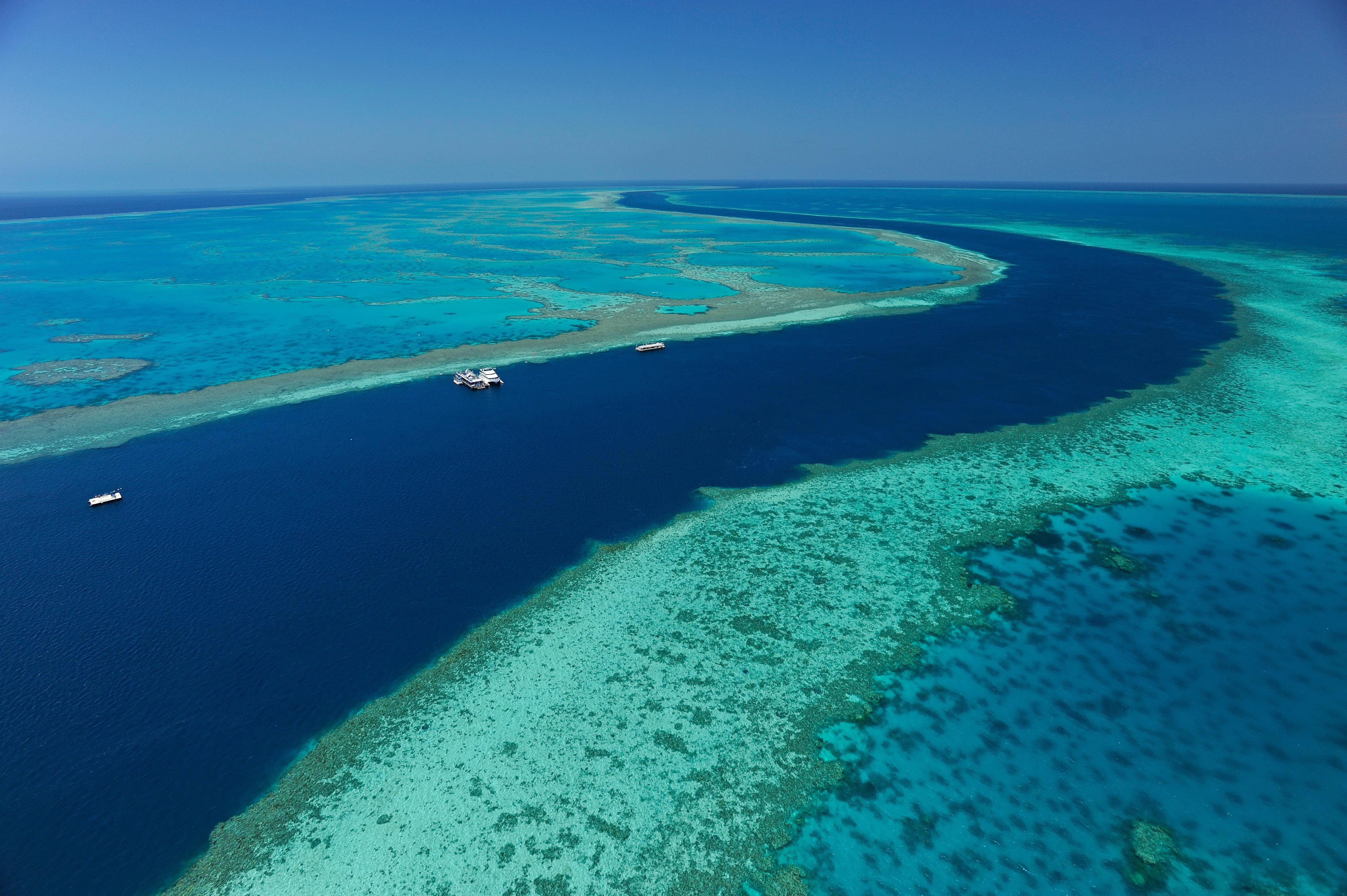 Reef View Hotel Хамилтън Айлънд Екстериор снимка